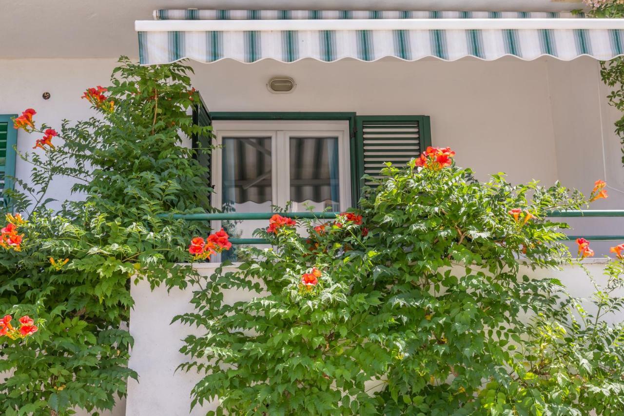 Apartmani Marko Tucepi Ngoại thất bức ảnh